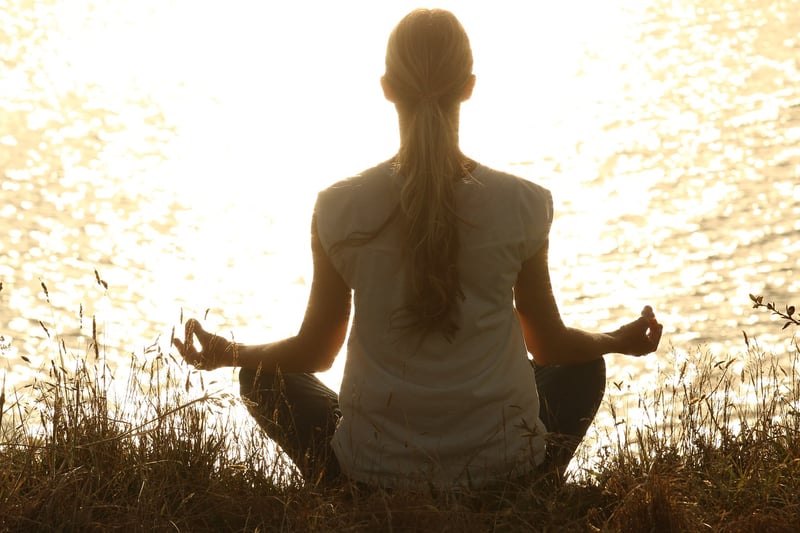 Meditation Workshop